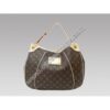 LOUISVUITTON MONOGRAM CANVAS GALLIERA PM