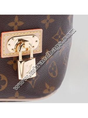 Louis Vuitton Replica 2010 SPRING SUMMER MONOGRAM CANVAS NEO BAG