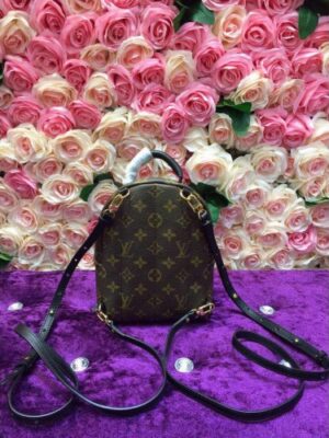 Louis Vuitton Replica BACKPACK M42971