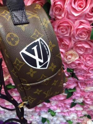 Louis Vuitton Replica BACKPACK M42971