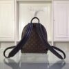 Louis Vuitton Replica Backpack 2015