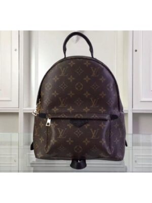 Louis Vuitton Replica Backpack 2015