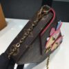 Louis Vuitton Replica Bird Pochette Felicie Chain Wallet Bag M62416 RED 2017(KD-722403)