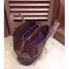 Louis Vuitton Replica Damier Ebene Canvas ASCOT N41273