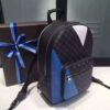 Louis Vuitton Replica JOSH N41612 BACKPACK