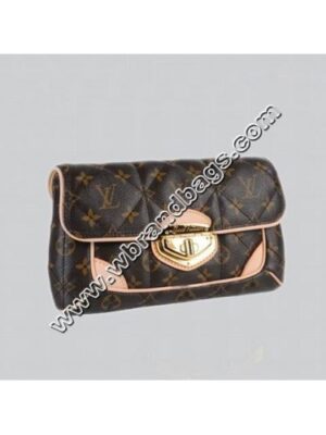 Louis Vuitton Replica MONOGRAM CANVAS CLUTCH MONOGRAM ETOILE