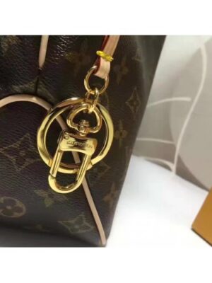 Louis Vuitton Replica MONOGRAM CANVAS DELIGHTFUL MM N41607 2017