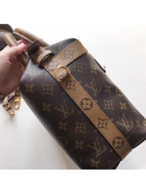 Louis Vuitton Replica Monogram CITY CRUISER bag M42410(YPJ-7021501)