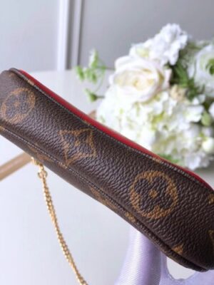 Louis Vuitton Replica Monogram Canvas Mini Pochette Accessoires Bag Lions Print M63830