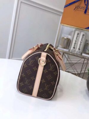 Louis Vuitton Replica Monogram Canvas Speedy Bandoulière 25 Bag M41113 Shiba Dog 2018