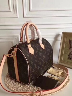 Louis Vuitton Replica Monogram Canvas Speedy Bandoulière 25 M41113