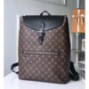 Louis Vuitton Replica Monogram Macassar Canvas Palk Backpack M40637 2016