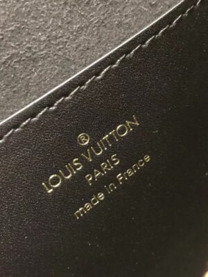 Louis Vuitton Replica Monogram and Monogram Reverse Canvas Dauphine BB Bumbag M68621 2019