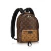 Louis Vuitton Replica Monogram palm spring backpack M43116(YILU-7021501)