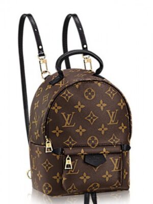 Louis Vuitton Replica Monogram palm spring backpack mini M41562(2a153-7021502)