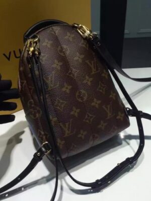 Louis Vuitton Replica PALM SPRINGS BACKPACK MINI M41562