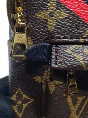 Louis Vuitton Replica PALM SPRINGS BACKPACK MINI M41562