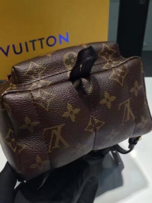 Louis Vuitton Replica PALM SPRINGS BACKPACK MINI M41562