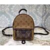 Louis Vuitton Replica Palm Springs Backpack Mini M42411