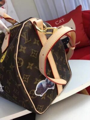 Louis Vuitton Replica SPEEDY BANDOULIERE 30 WORLD TOUR M43231