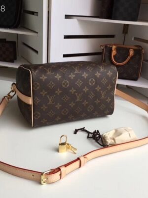 Louis Vuitton Replica speedy 25 MONOGRAM Canvas M41113