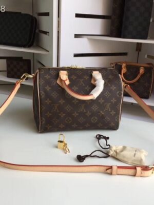 Louis Vuitton Replica speedy 25 MONOGRAM Canvas M41113