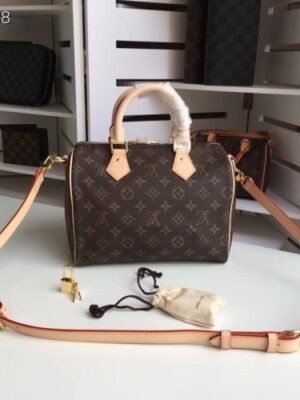 Louis Vuitton Replica speedy 25 MONOGRAM Canvas M41113